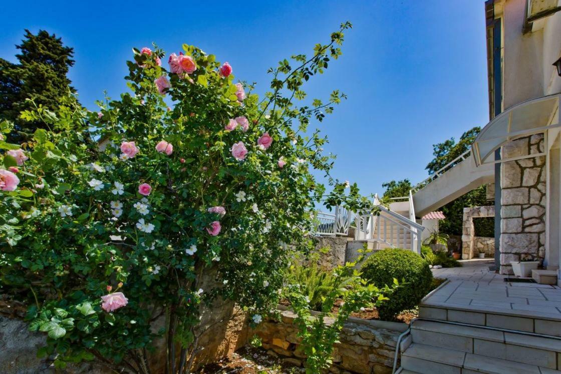 Apartments Jacky Hvar Town Zewnętrze zdjęcie